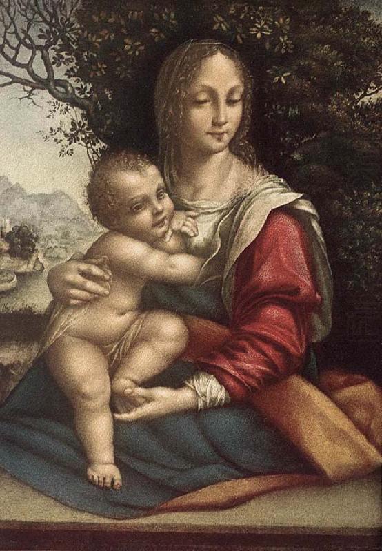 Cesare da Sesto Madonna and Child china oil painting image